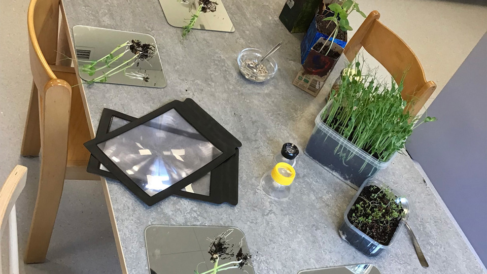 Bord med plantering av växter.
