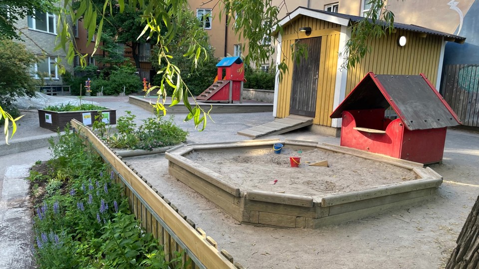Gård med sandlåda och grönska.