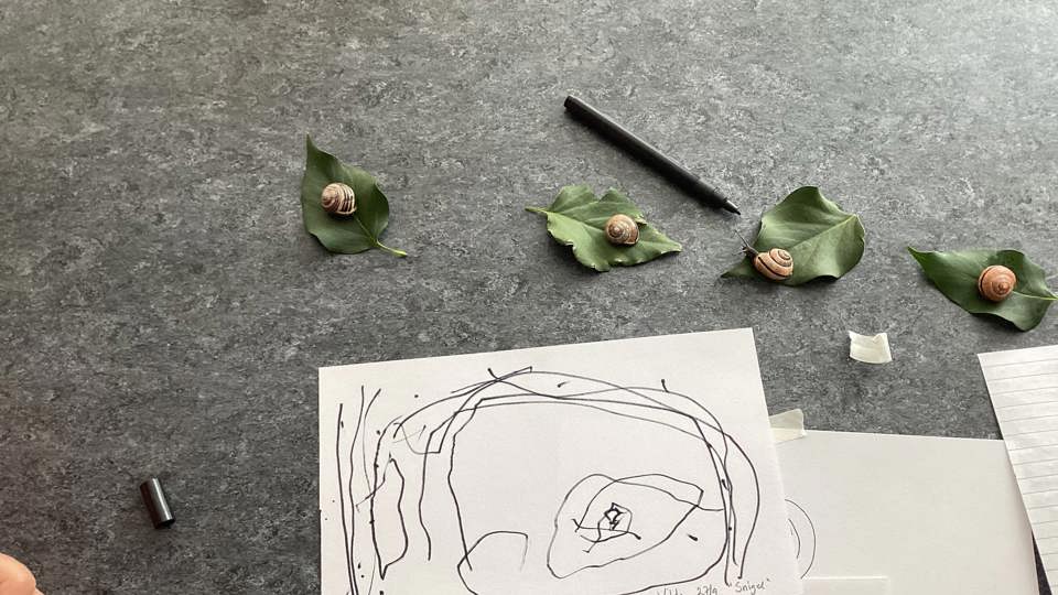Bord med löv och små snäckor. Ett barns teckning av en snigel ligger bredvid en penna.
