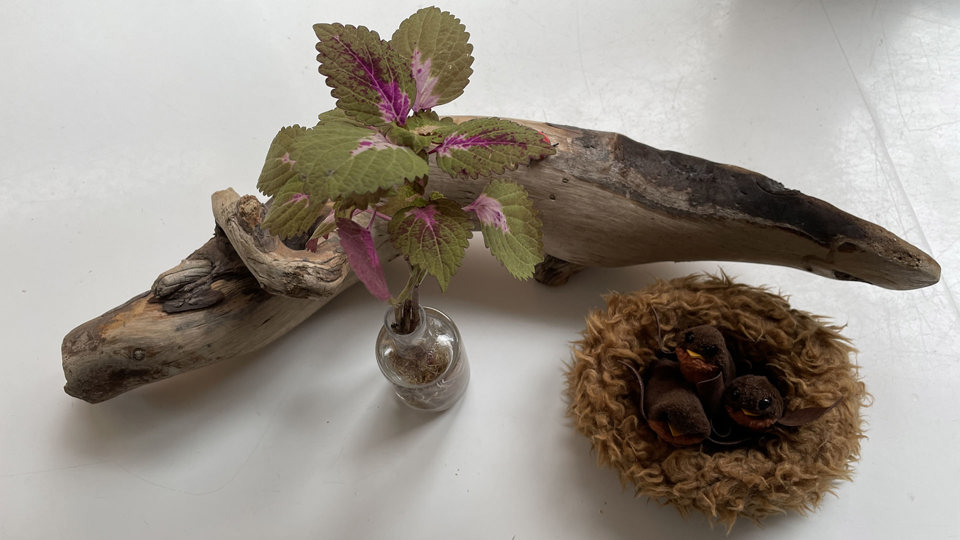 Leksaker från naturen – blomma, pinne och fågelbo, foto.
