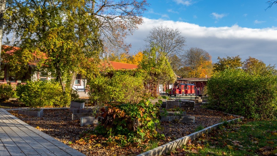 Byggnad med gård framför med träd, buskar, blomlådor, gräsmatta med fallna höstlöv och ett lektåg.