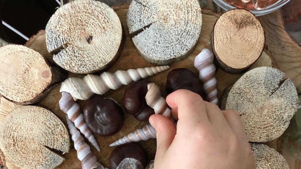 En hand som arrangerar snäckor och kastanjer på ett träunderlägg, blandade naturmaterial för lek i förskolemiljö.