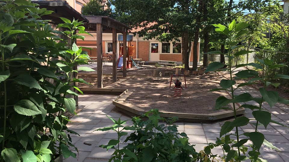 Förskolegården med buskar och blad i förgrunden och förskolebyggnaden i bakgrunden.