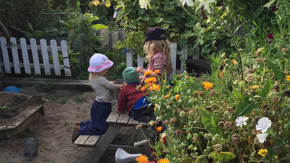 Barn leker i trädgård.