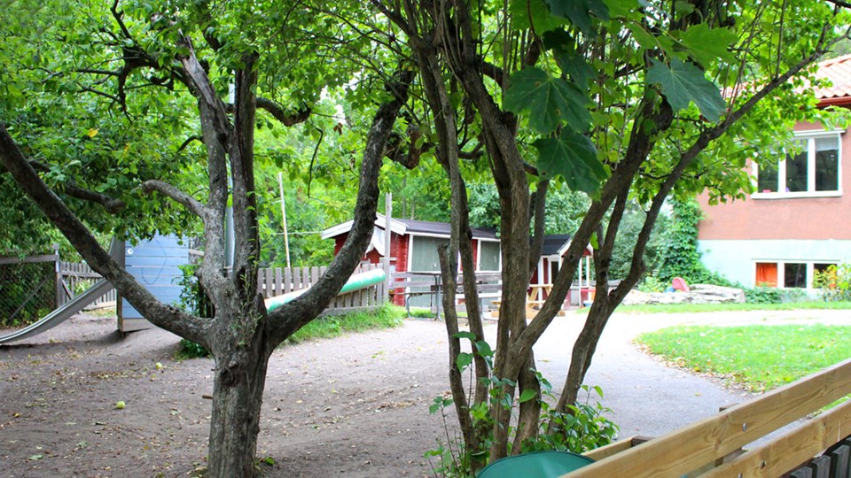 Förskolegård med rutschkana och träd.