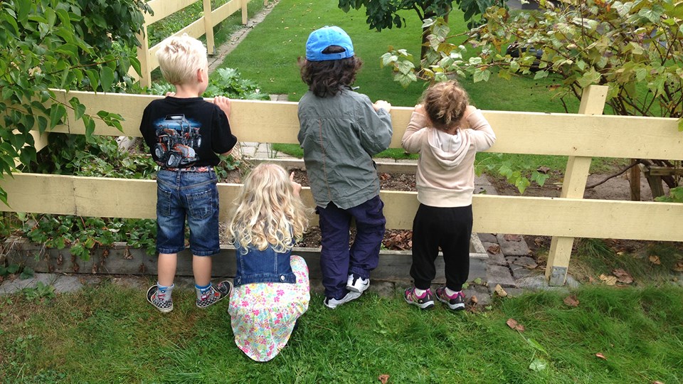 Barn står framför staket.