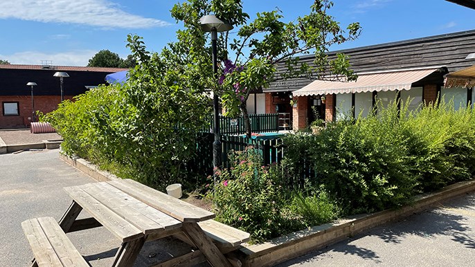 Enplans hus med träd och buskar på gården