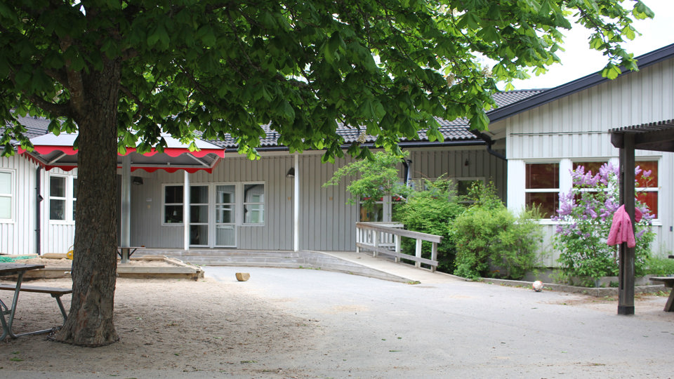 Ett stort lövträd står på en gård framför ett grått enplanshus med vita fönsterkarmar. Intill syns en pergola i trä och ett parasoll i vitt och rött. En rosa jacka hänger på en krok på pergolan och en boll ligger på marken.