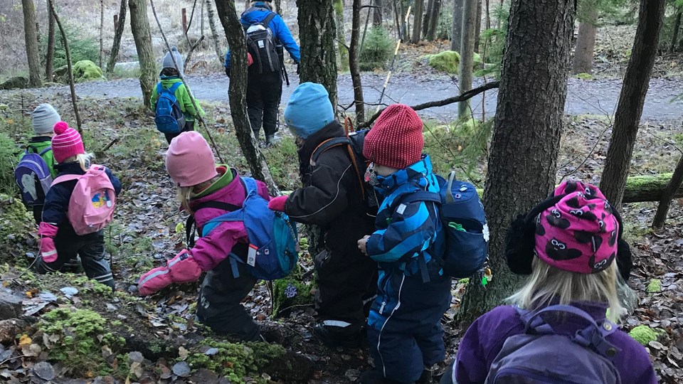 Barn i skogen