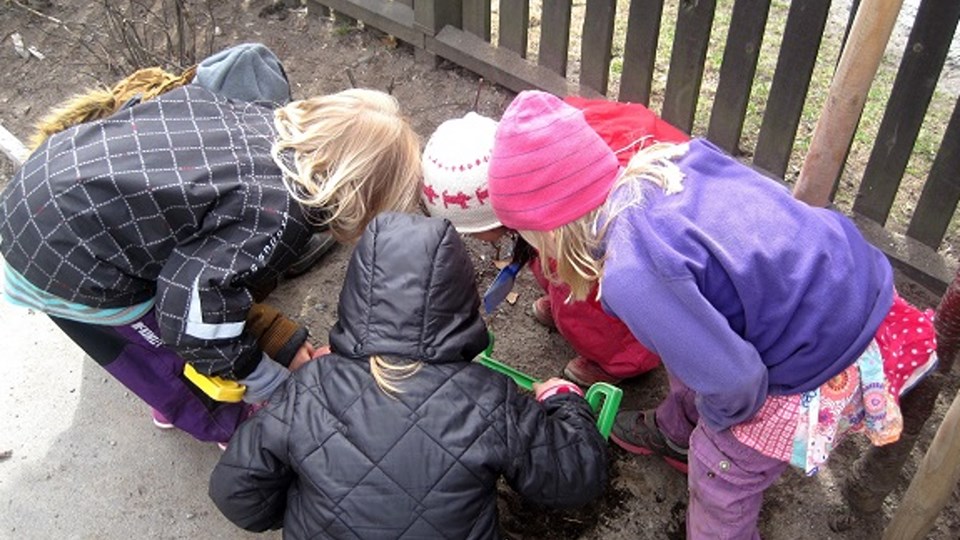 Barn letar efter maskar i jorden.